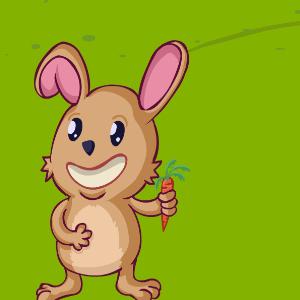 Bunny Puzzle
